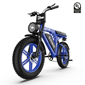 HiQiS C200 Mountain Fat Tire Electric Bike