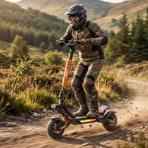HiQiS RS20 MAX High Performance Off-Road Electric Scooter
