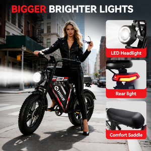 HiQiS C200 Mountain Fat Tire Electric Bike