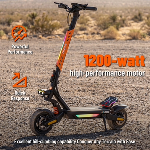 HiQiS RS20 MAX High Performance Off-Road Electric Scooter