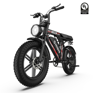 HiQiS C200 Mountain Fat Tire Electric Bike