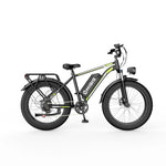 Bicicletta elettrica con pneumatici fat F26 | Potenza di 1000W, pneumatici da 26×4.0 progettati per l'avventura