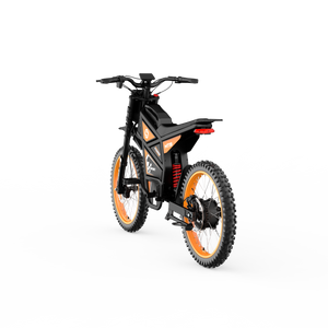 HiQiS MT19 Off-Road Electric Dirt Bike For Adults