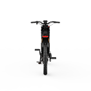 HiQiS MT19 Off-Road Electric Dirt Bike For Adults