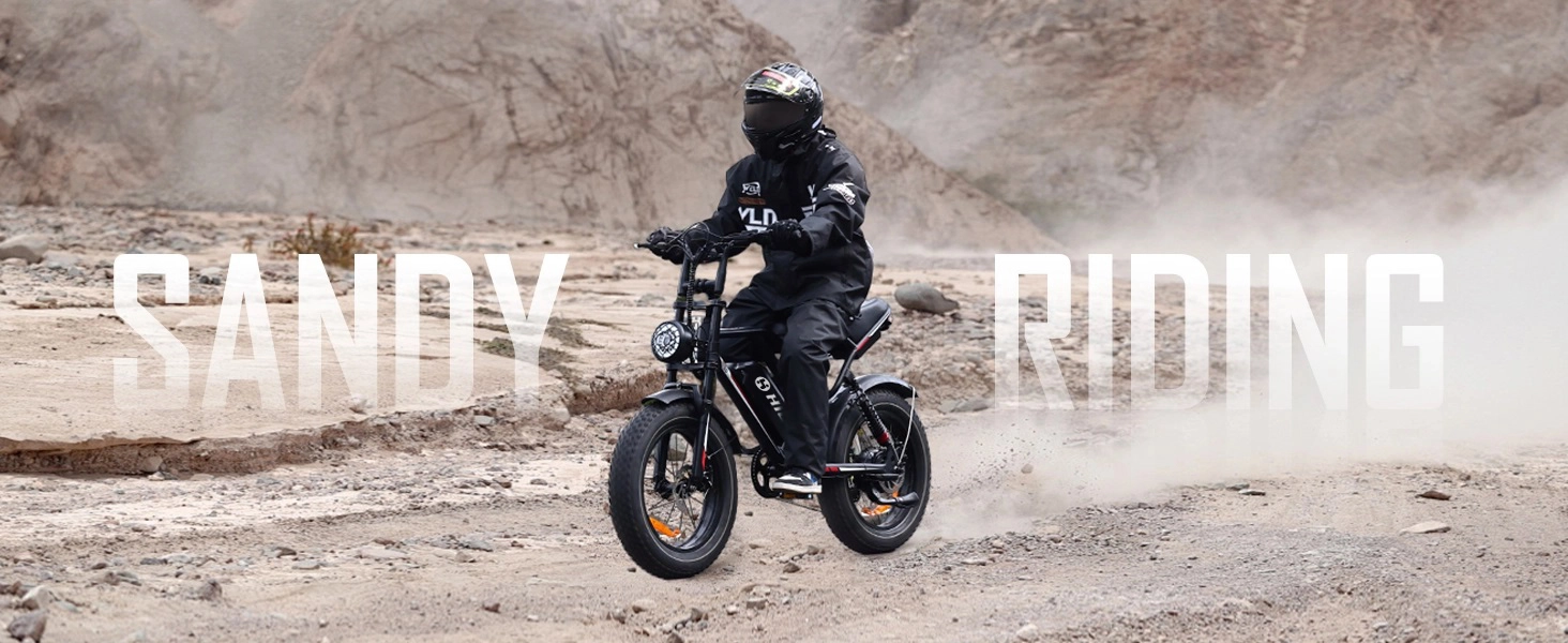 1000W electric bike