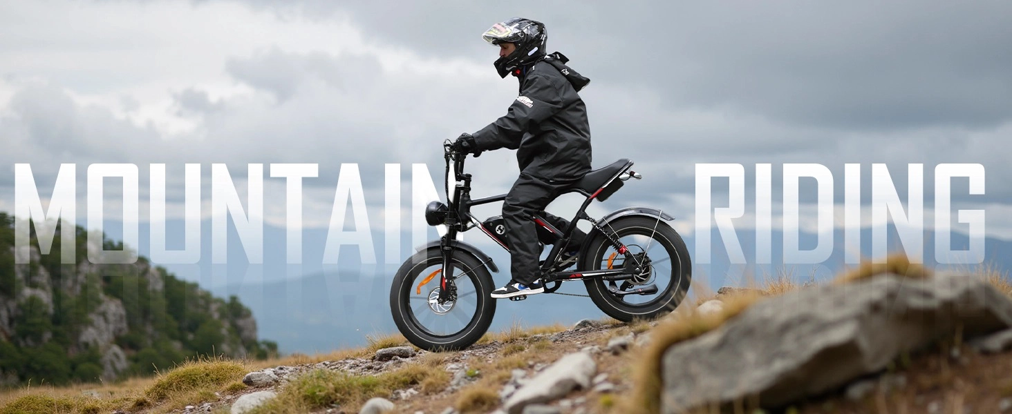 fat tire e-bike