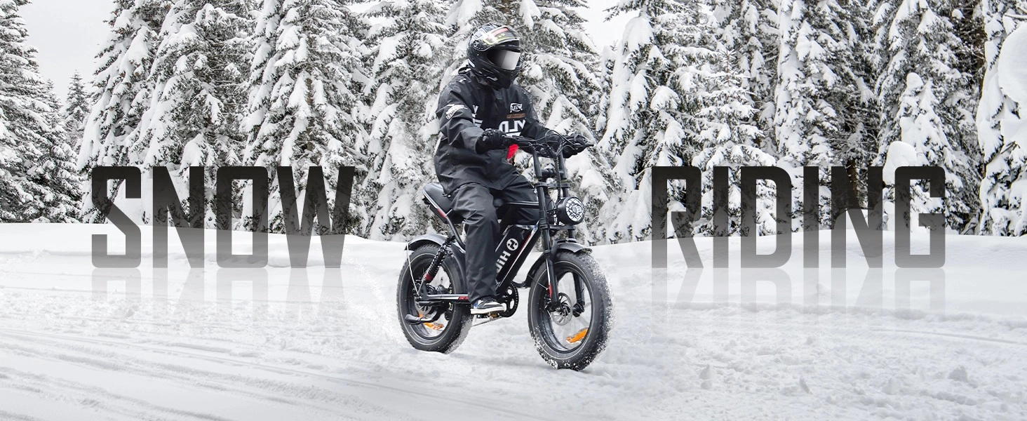 fat tire electric bike