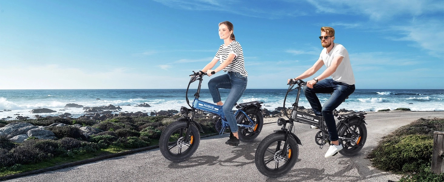 fat tire electric bike