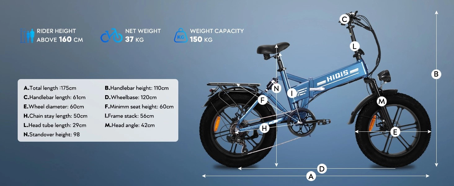 electric bike OEM
