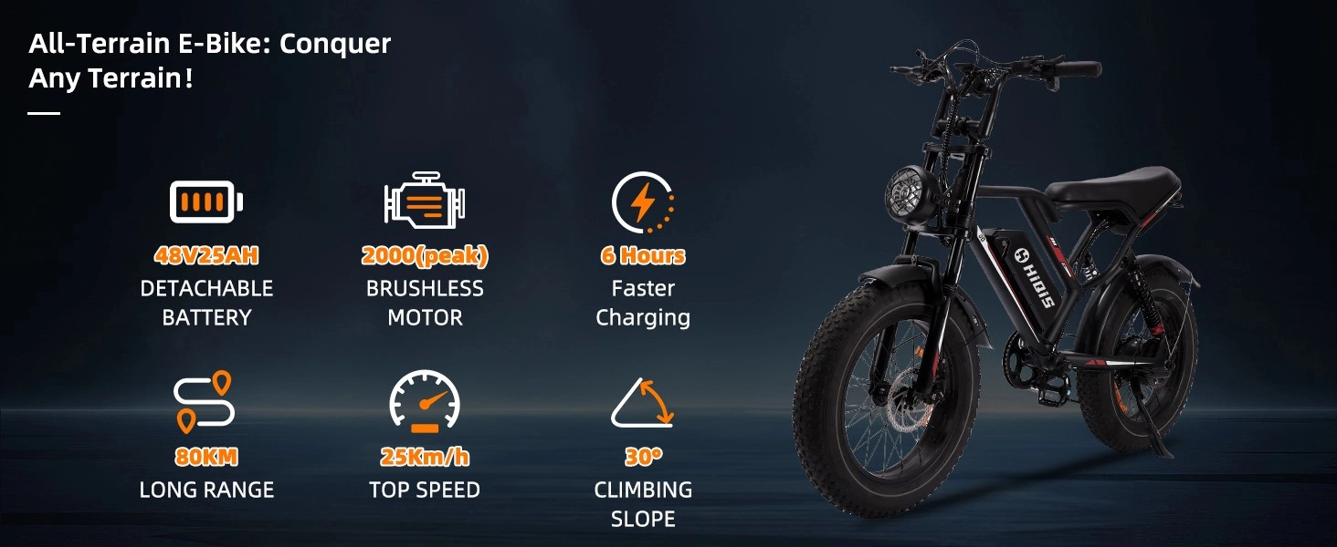 dual motor electric bike
