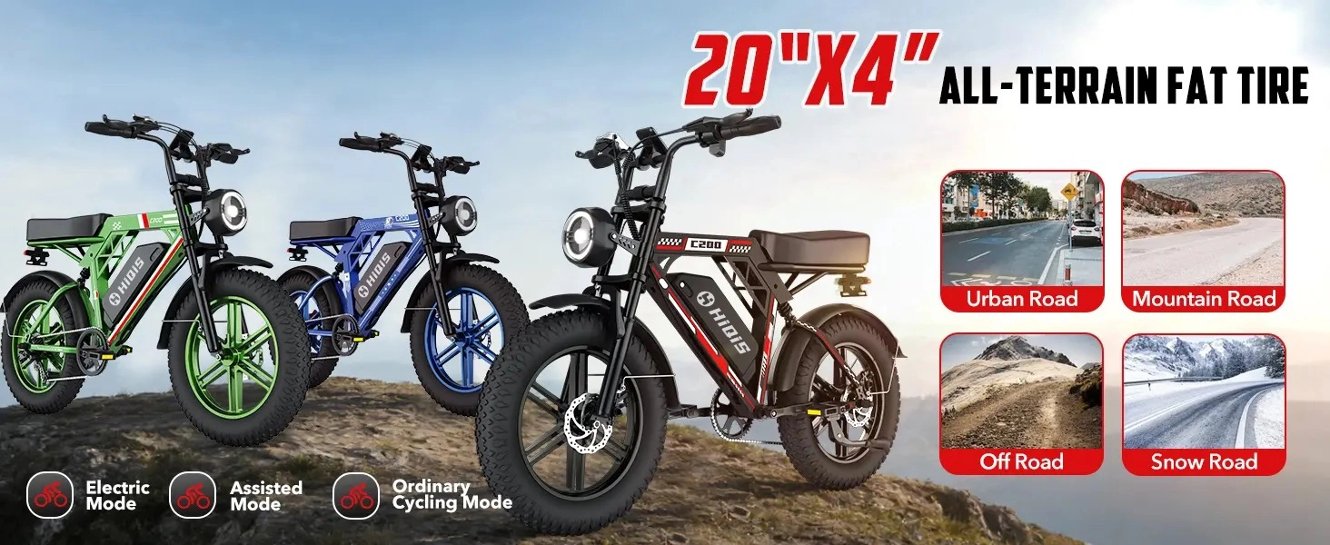 20 inch fat tire electric bike