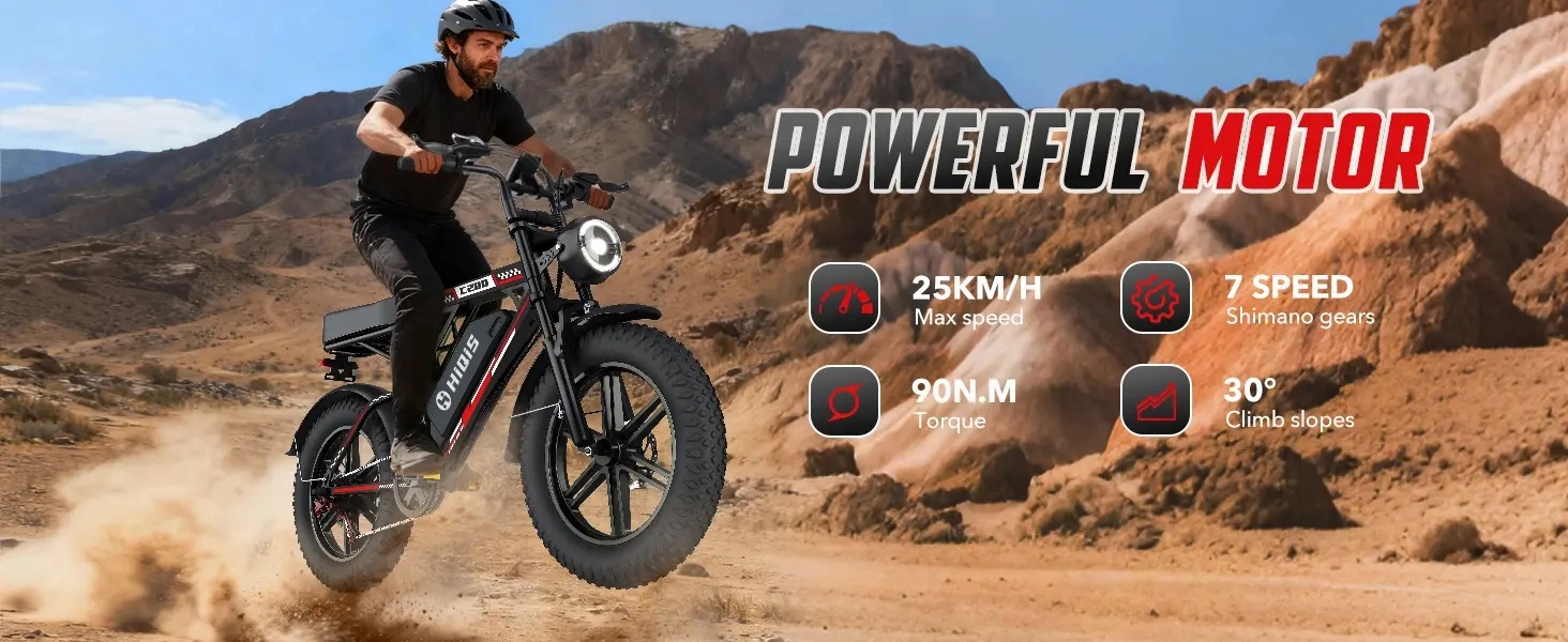1000W electric bike