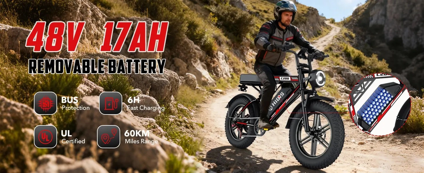 fat tire e-bike