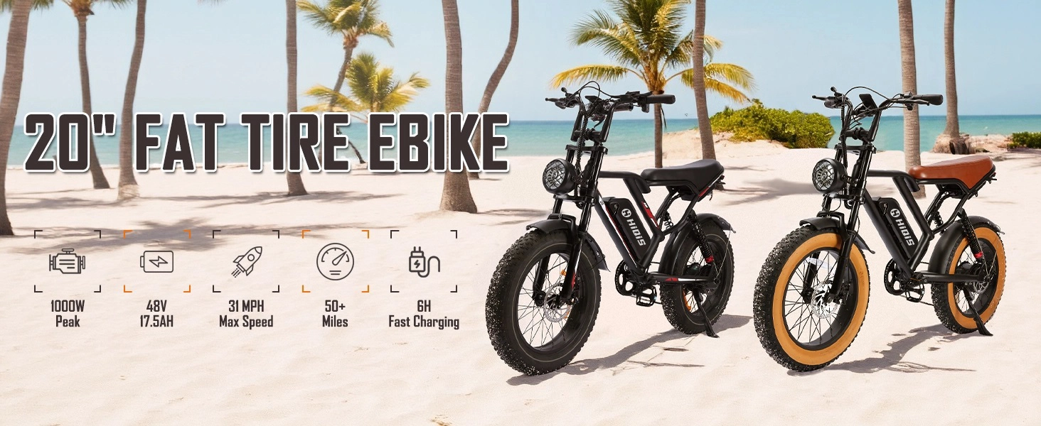 20 inch fat tire electric bike